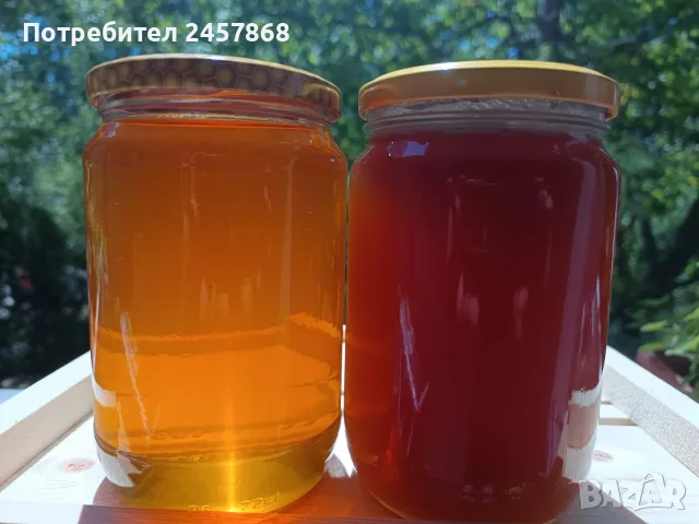 Полифлорен мед букет от семейния пчелин