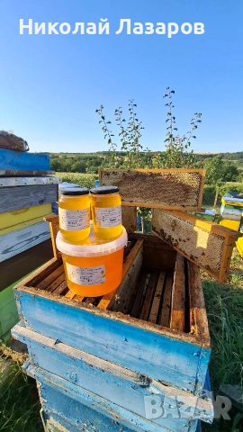 Пчелен мед Букет или Липа, снимка 5 - Пчелни продукти - 55215883