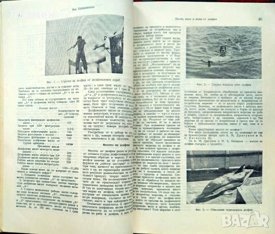 Природа. Кн. 1-3 / 1954, Кн. 5 / 1955, Кн. 6 / 1958, Кн. 5 / 1976, снимка 3 - Списания и комикси - 55233086