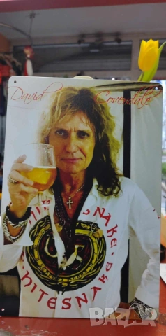 David Coverdale-метална табела (плакет), снимка 3 - Китари - 54086255