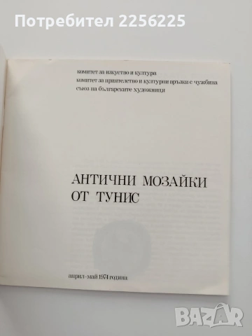 Антични мозайки от Тунис, снимка 6 - Специализирана литература - 54735913