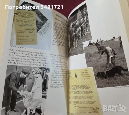 Bonzo's War. Animals Under Fire 1939-1945, снимка 11 - История, политика и общество - 55362731