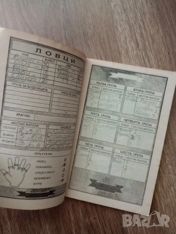 Книга-Игра на - Вампирите на Флавия: Ловците на Робърт Блонд, снимка 4 - Детски книжки - 55192894
