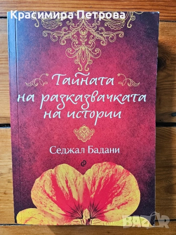 Тайната на разказвачката на истории - Седжал Бадани