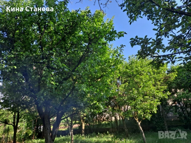 Двуетажна комфортна вила, реновирана със сайдинг - център, снимка 16 - Вили - 54688103