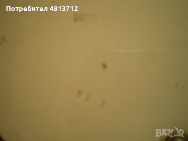 Винтидж овален поднос за сервиране с рисунка на сливи, снимка 9 - Колекции - 54794405
