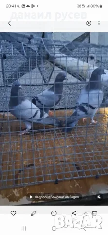 Английски  типлери