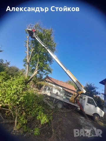 Рязане и кастрене на дървета с автовишка, снимка 6 - Други услуги - 54006380