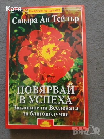 Сандра Ан Тейлър - Повярвай в успеха