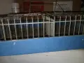 2 клетки за гризачи морско свинче или зайче и по голяма за птички., снимка 5