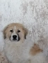 мъжко , снимка 3