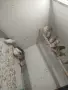 Японски амадини. , снимка 4