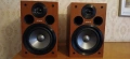 Тонколони SONY SS-CGPZ7, снимка 1