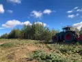 Почистване на терени с горски мулчер и трактор, снимка 6