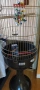 Продавам клетка за папагал, снимка 2