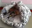 закрито легло  за домашни любимци , снимка 6