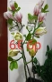 изкуствени цветя за декорация , снимка 8