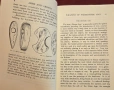 European Arms and Armour, снимка 4