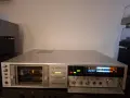 Техникс RS-M280 Триглав звяр , снимка 1