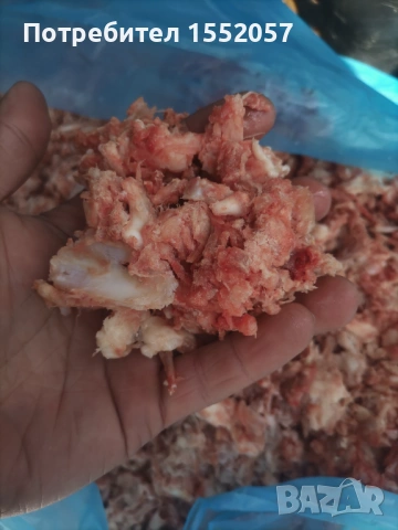 Пилешка кайма и кокали за кучета , снимка 5 - За кучета - 54097495