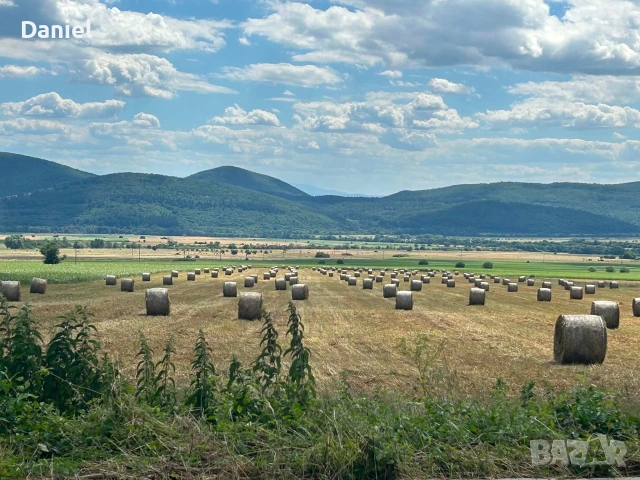 Бали фий+овес, €60/бр, район Горна Малина (София)