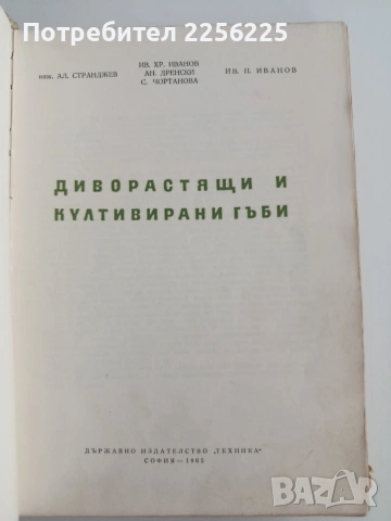 Диворастящи и култивирани гъби