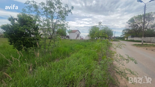 Имот за складова дейност в село Петково, снимка 4 - Парцели - 54455980