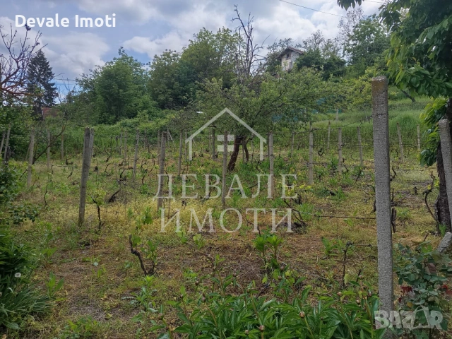 Вила м.Конубунар, гр. Русе, снимка 7 - Къщи - 54563404