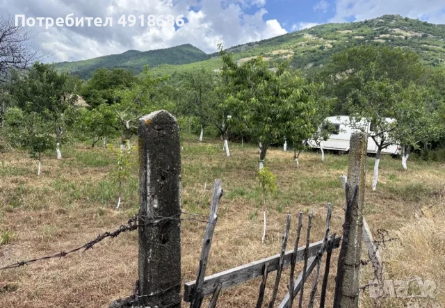 ПРОДАВА СЕ ЛОЗЕ , снимка 12 - Земеделска земя - 55661714