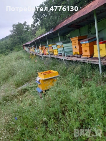 Продават се отводки