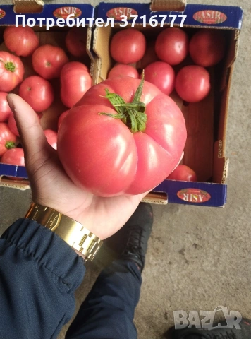 зеленчуци и плодове , снимка 6 - Други стоки за дома - 54265438