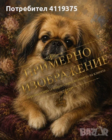 Дигитални портрети, карикатури и картини по снимка или идея, снимка 7 - Други услуги - 55143367