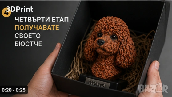 Бюст на Вашия домашен любимец, снимка 18 - Декорация за дома - 53892591