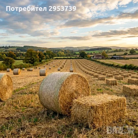Бали от пшенична слама