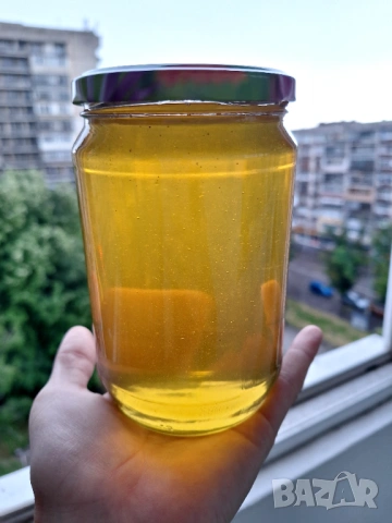 Пчелен мед от акация