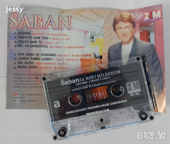 Saban Saulic - Колекция касети, снимка 17 - Аудио касети - 54418991