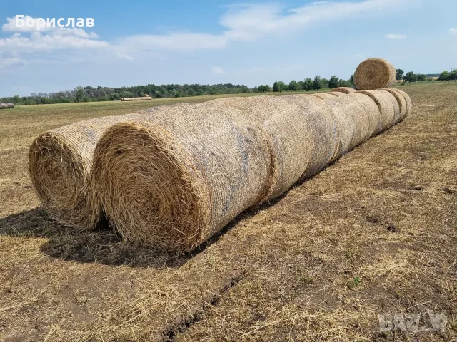 Продавам бали люцерна, 2-ри откос, снимка 4 - За селскостопански - 55352576