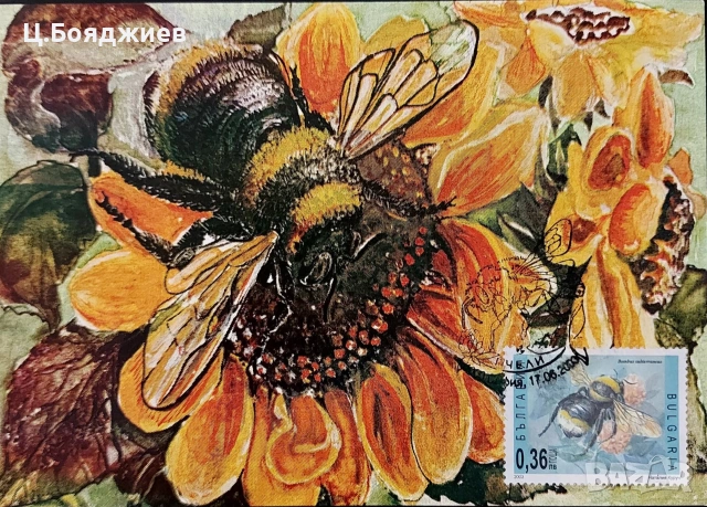 Карти-максимум, Пчели, българия, снимка 7 - Филателия - 55221570