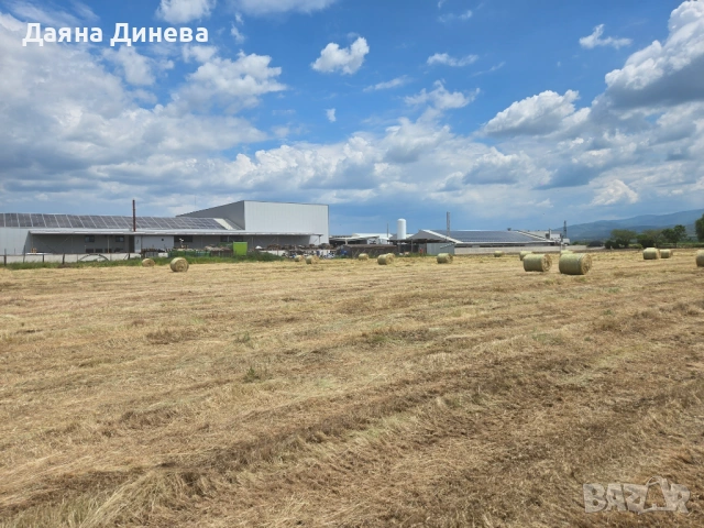 Продавам ролони бали сено, снимка 3 - За селскостопански - 54631261