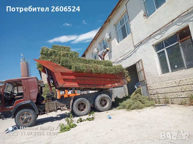Малки бали люцерна , снимка 4 - За селскостопански - 55268449