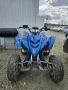 Yamaha Raptor 350, снимка 4