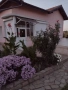 Продавам къща с двор и гараж в Долни Дъбник, снимка 1