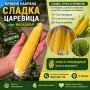 Сладка царевица, снимка 1