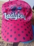 LedyBug, снимка 3