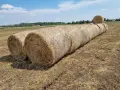 Продавам бали люцерна, 2-ри откос, снимка 4