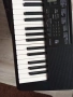 Синтезатор CASIO CTK-3500, снимка 3
