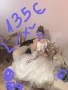 булчинска рокля 👗, снимка 1