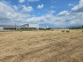 Продавам ролони бали сено, снимка 3
