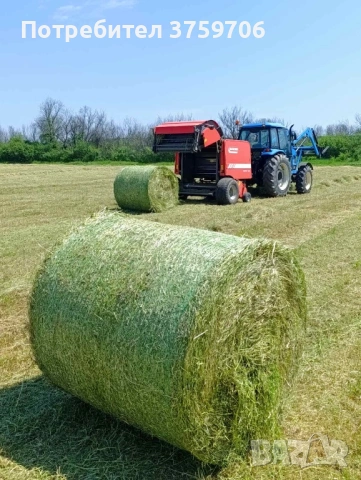 Продавам Бали сено