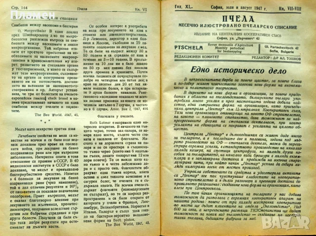 Пчела. Кн. 1-12 / 1947, снимка 7 - Антикварни и старинни предмети - 55327193